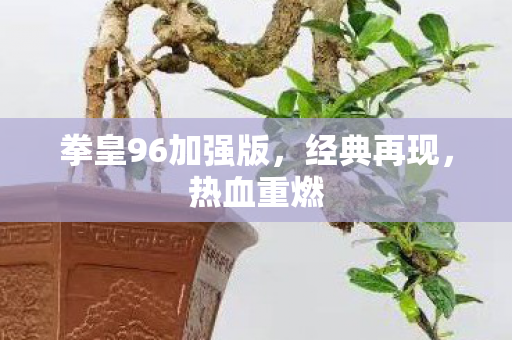 拳皇96加强版图片