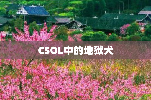 CSOL中的地狱犬图片