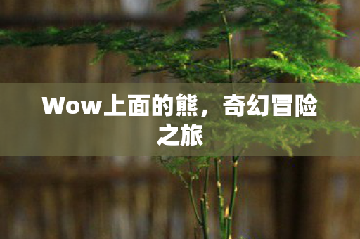 Wow上面的熊图片