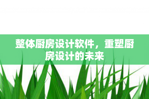 重塑厨房设计的未来图片