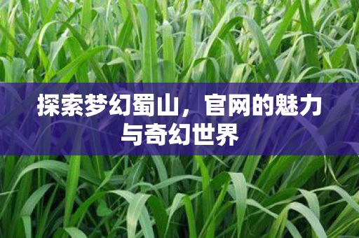 官网的魅力与奇幻世界图片