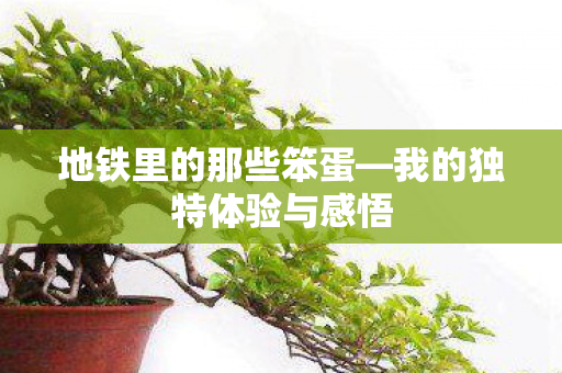 我的独特体验与感悟图片