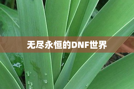 无尽永恒的DNF世界图片