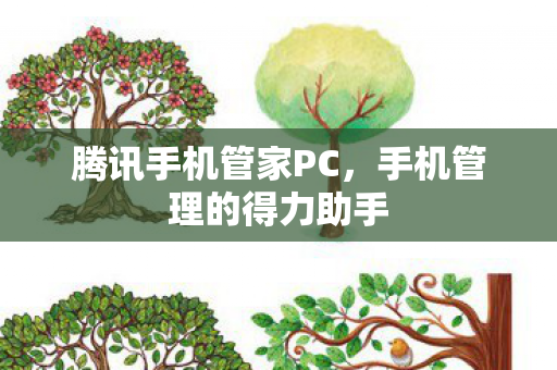 手机管理的得力助手图片