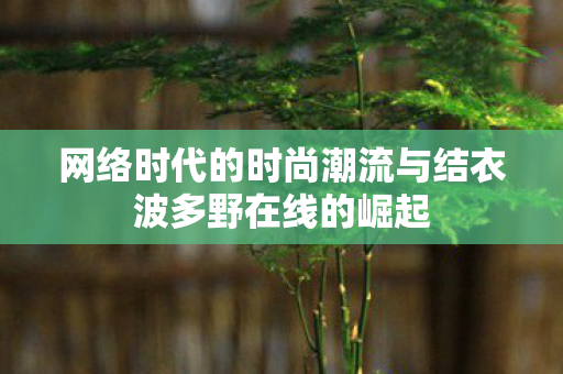 网络时代的时尚潮流与结衣波多野在线的崛起图片