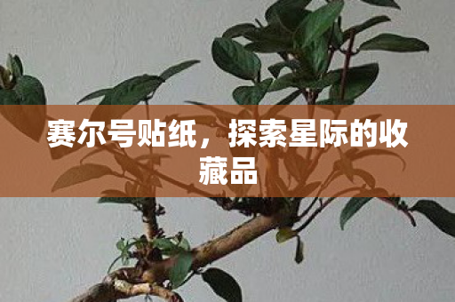 探索星际的收藏品图片
