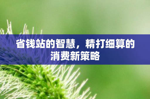 精打细算的消费新策略图片