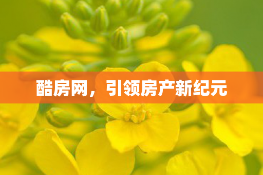引领房产新纪元图片