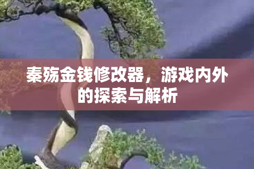 游戏内外的探索与解析图片