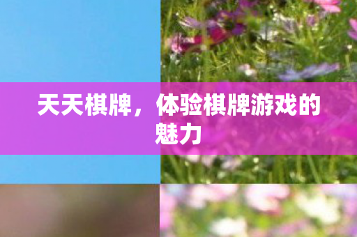 体验棋牌游戏的魅力图片
