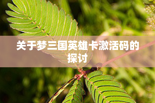 关于梦三国英雄卡激活码的探讨图片