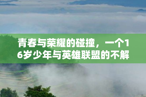 一个16岁少年与英雄联盟的不解之缘图片