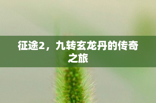 九转玄龙丹的传奇之旅图片