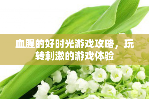 血腥的好时光游戏攻略图片
