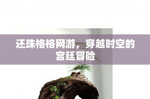 穿越时空的宫廷冒险图片