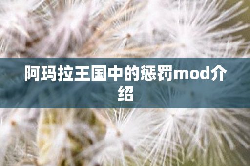 阿玛拉王国中的惩罚mod介绍图片