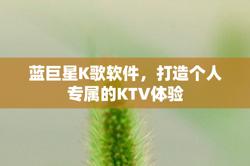打造个人专属的KTV体验图片