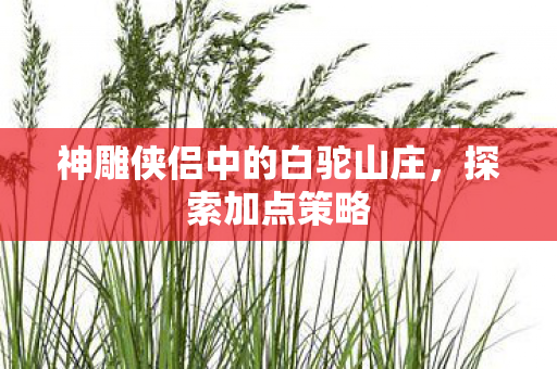 神雕侠侣中的白驼山庄图片