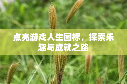 探索乐趣与成就之路图片