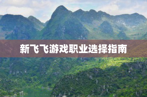 新飞飞游戏职业选择指南图片
