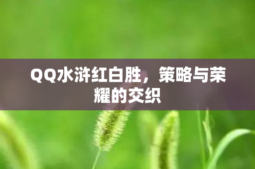 策略与荣耀的交织图片