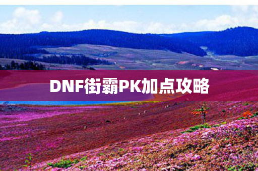 DNF街霸PK加点攻略图片