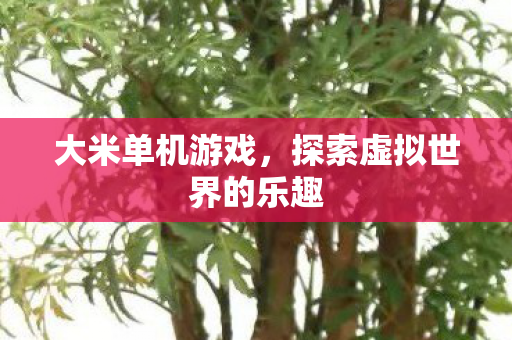 探索虚拟世界的乐趣图片