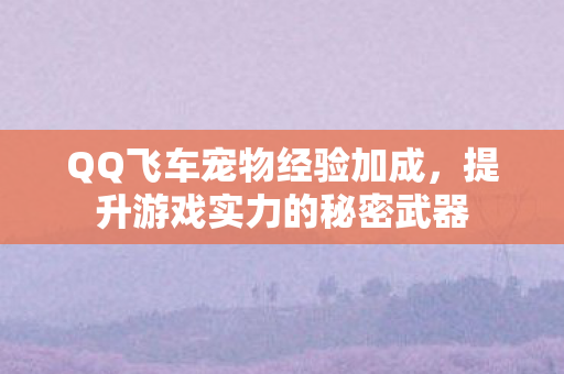 提升游戏实力的秘密武器图片