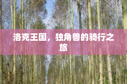 独角兽的骑行之旅图片