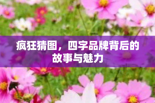 四字品牌背后的故事与魅力图片