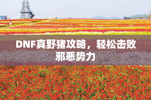 DNF真野猪攻略图片