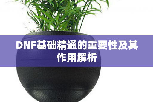 DNF基础精通的重要性及其作用解析图片