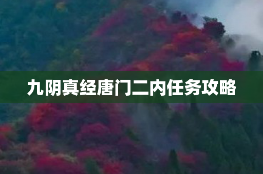 九阴真经唐门二内任务攻略图片