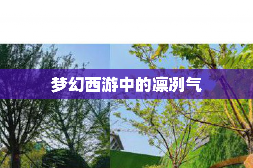 梦幻西游中的凛冽气图片