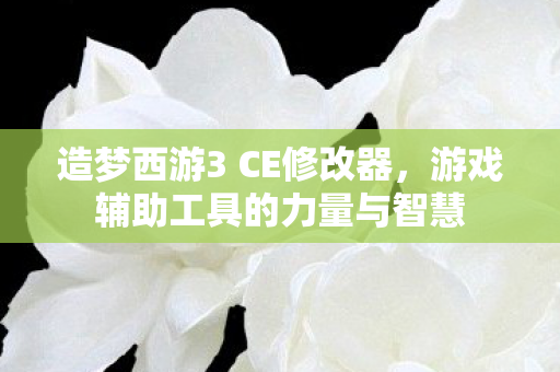 游戏辅助工具的力量与智慧图片