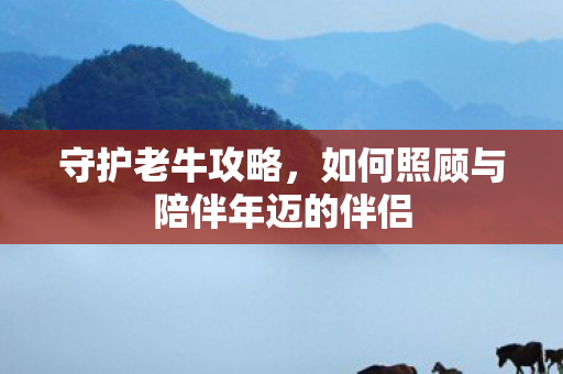 如何照顾与陪伴年迈的伴侣图片