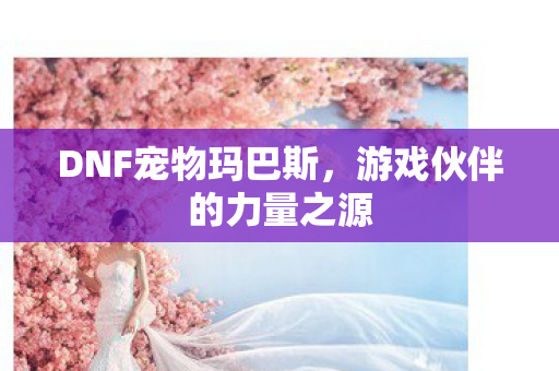 游戏伙伴的力量之源图片