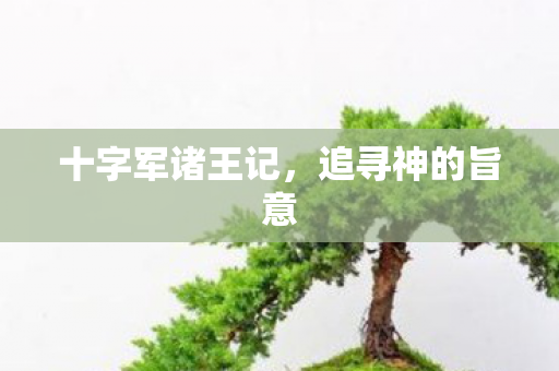 十字军诸王记图片