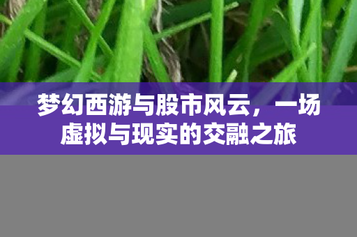 一场虚拟与现实的交融之旅图片