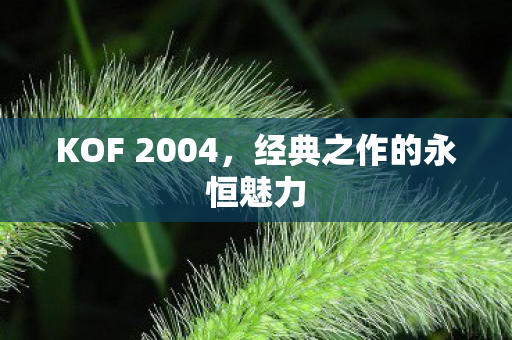 经典之作的永恒魅力图片