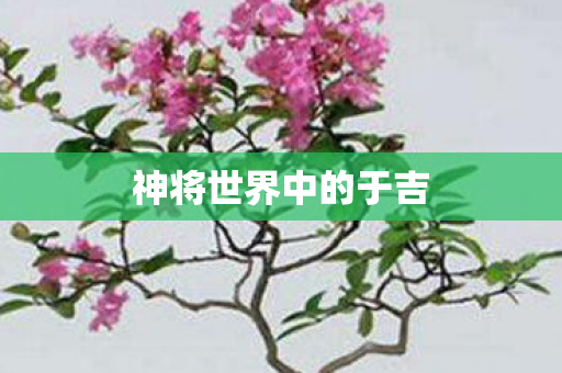神将世界中的于吉图片