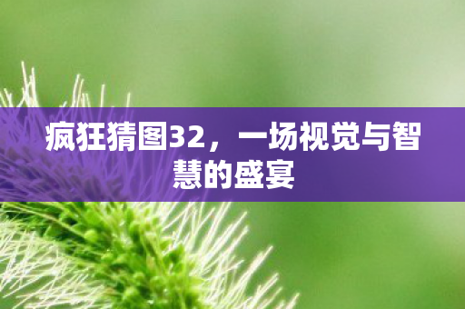 一场视觉与智慧的盛宴图片