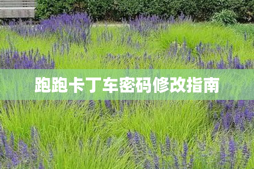 跑跑卡丁车密码修改指南图片