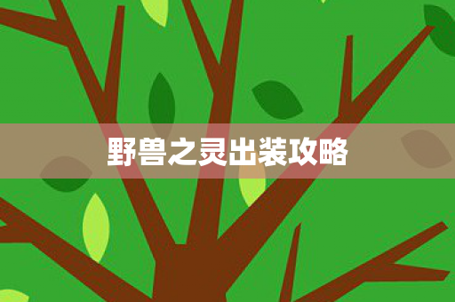 野兽之灵出装攻略图片