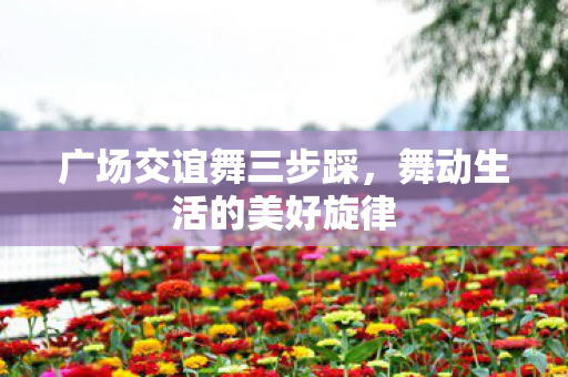 舞动生活的美好旋律图片