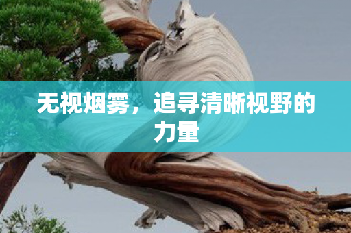 追寻清晰视野的力量图片