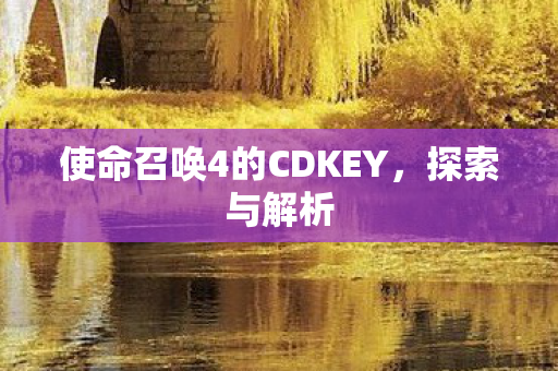 使命召唤4的CDKEY图片