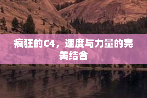 速度与力量的完美结合图片