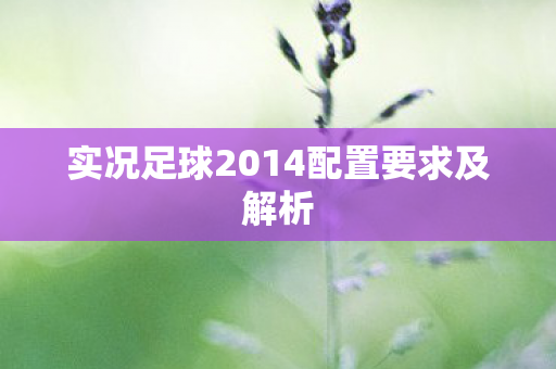 实况足球2014配置要求及解析图片
