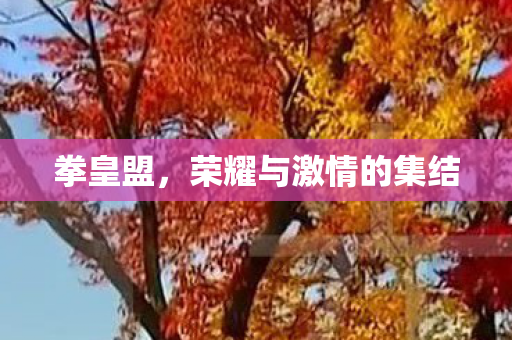 荣耀与激情的集结图片